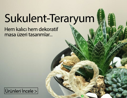 İzmir Bayraklı Teraryum Modelleri