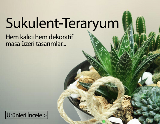 Karşıyaka Mavibahçe Teraryum Modelleri